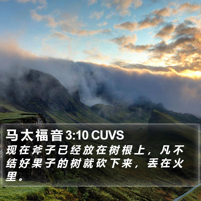 马 太 福 音 3:10 CUVS Bible Study