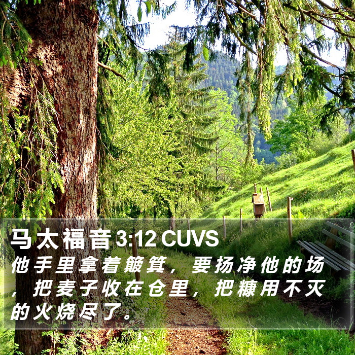 马 太 福 音 3:12 CUVS Bible Study