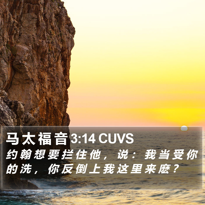 马 太 福 音 3:14 CUVS Bible Study