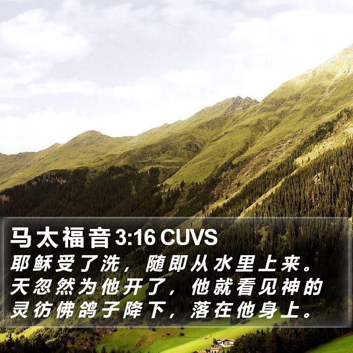 马 太 福 音 3:16 CUVS Bible Study