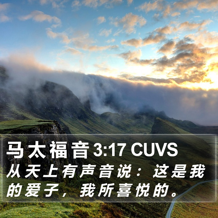 马 太 福 音 3:17 CUVS Bible Study