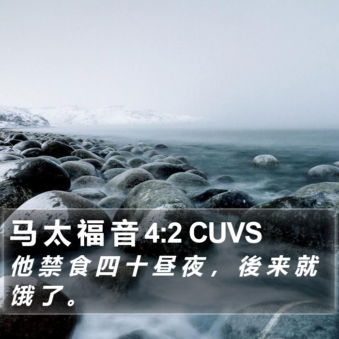 马 太 福 音 4:2 CUVS Bible Study
