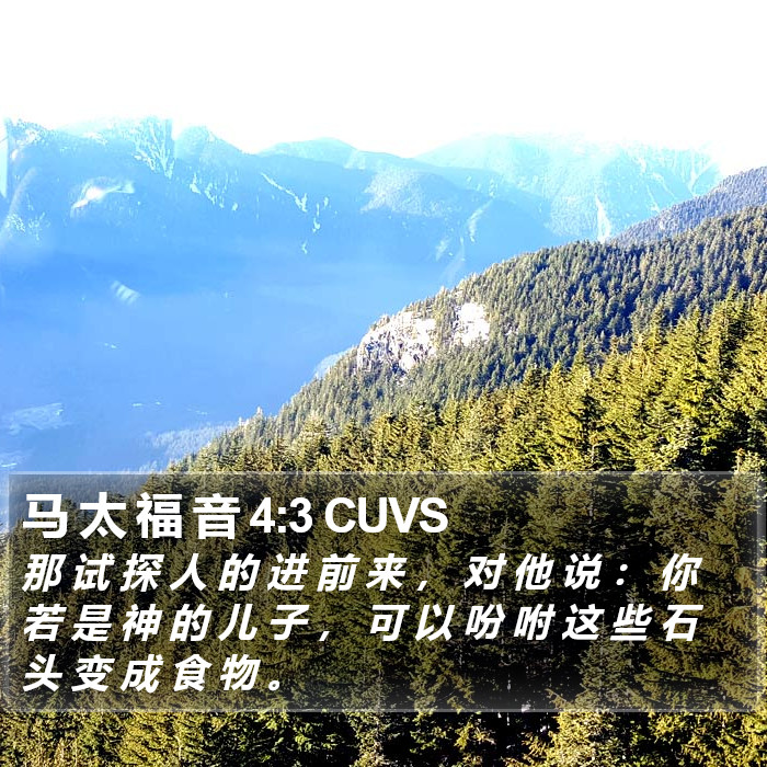马 太 福 音 4:3 CUVS Bible Study