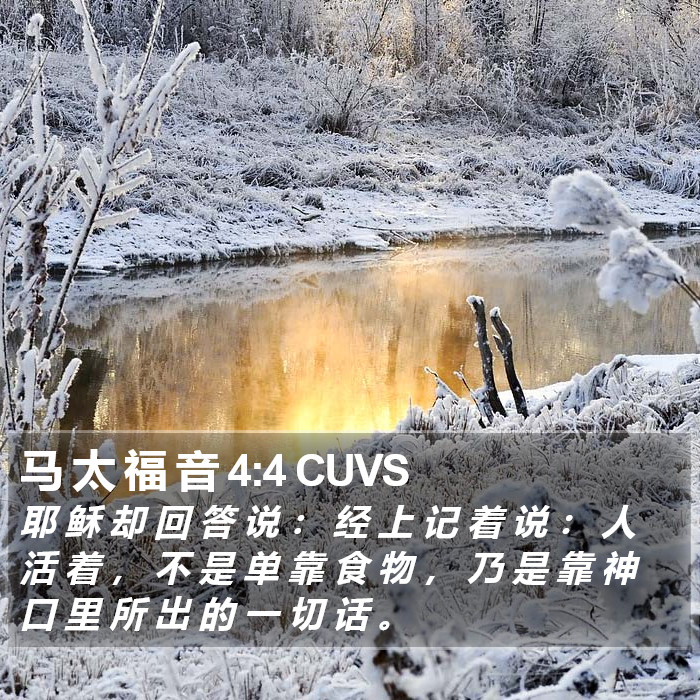 马 太 福 音 4:4 CUVS Bible Study