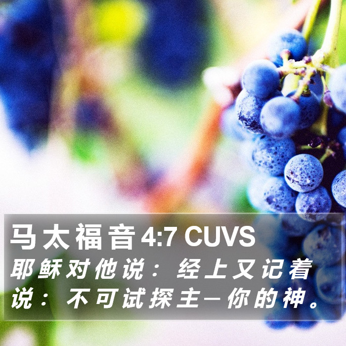 马 太 福 音 4:7 CUVS Bible Study