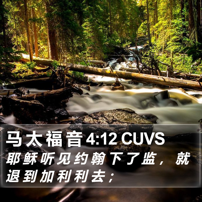 马 太 福 音 4:12 CUVS Bible Study