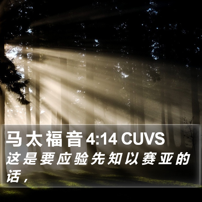 马 太 福 音 4:14 CUVS Bible Study