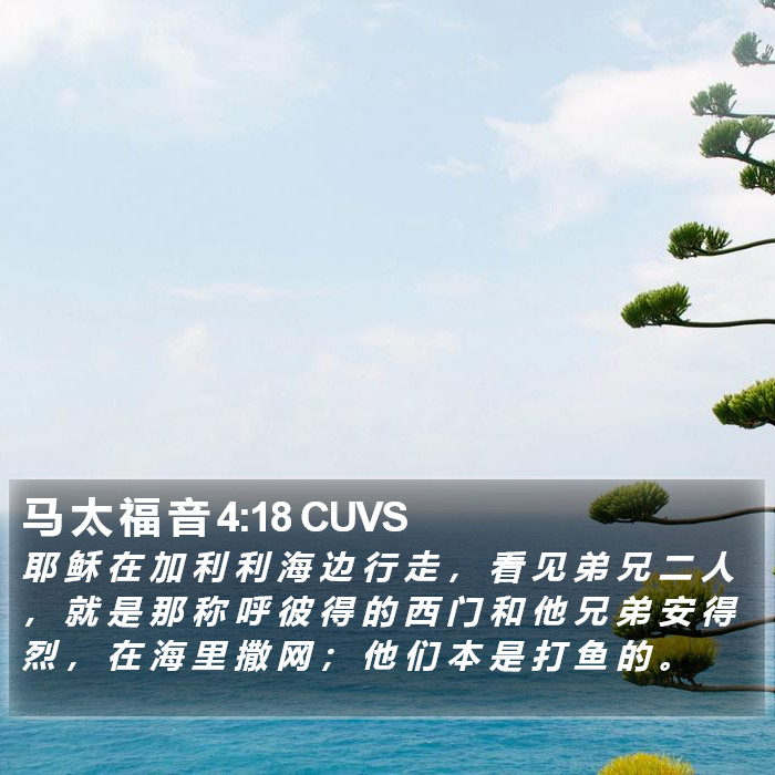 马 太 福 音 4:18 CUVS Bible Study
