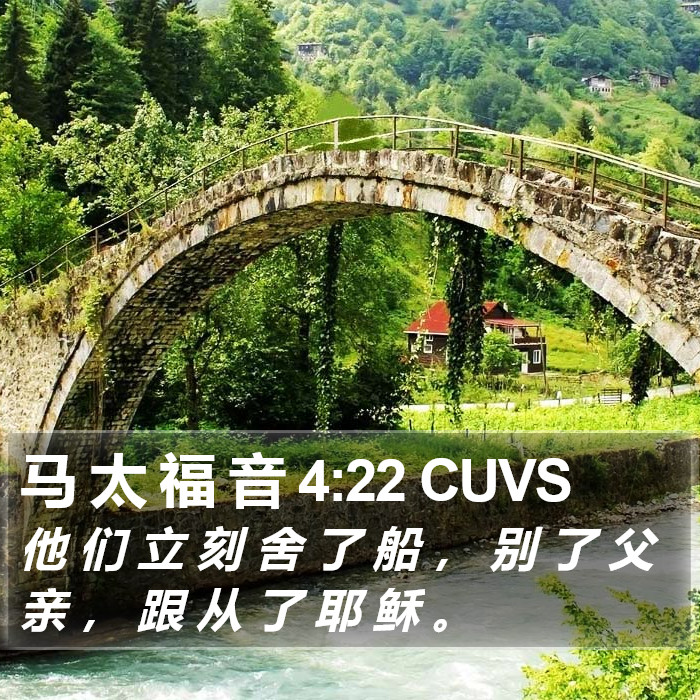 马 太 福 音 4:22 CUVS Bible Study