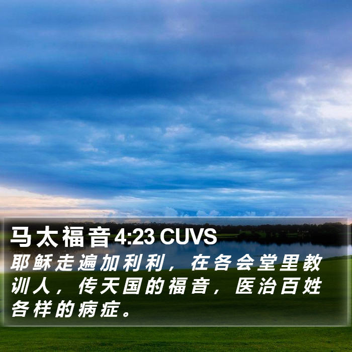马 太 福 音 4:23 CUVS Bible Study