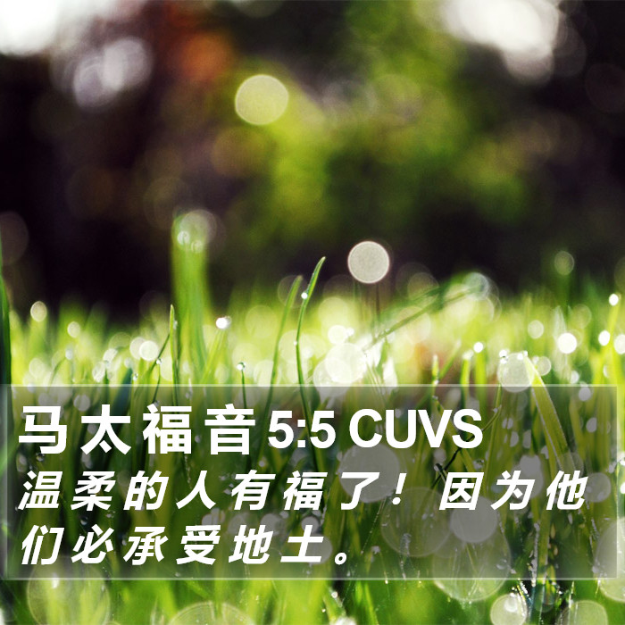 马 太 福 音 5:5 CUVS Bible Study
