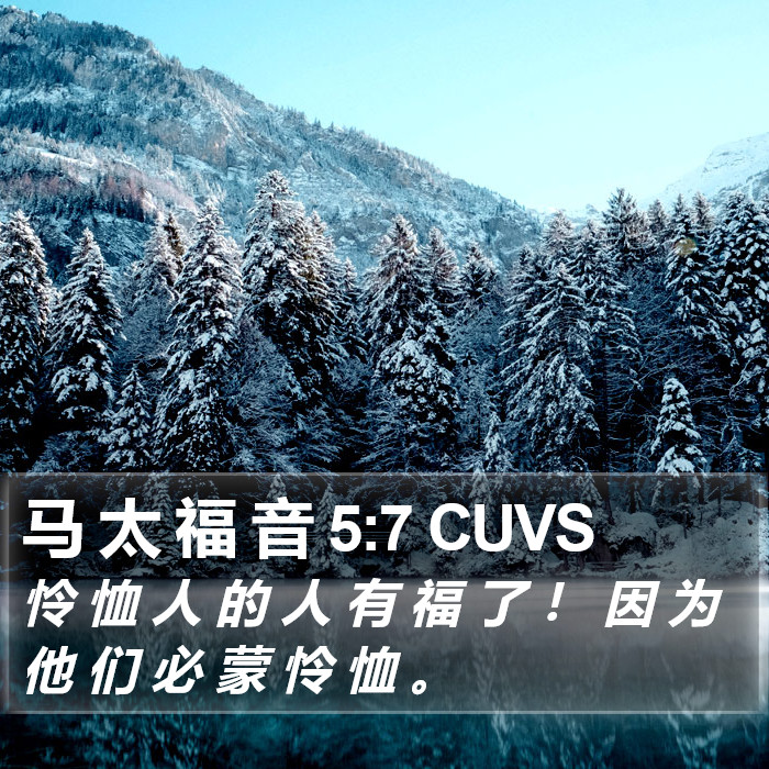 马 太 福 音 5:7 CUVS Bible Study