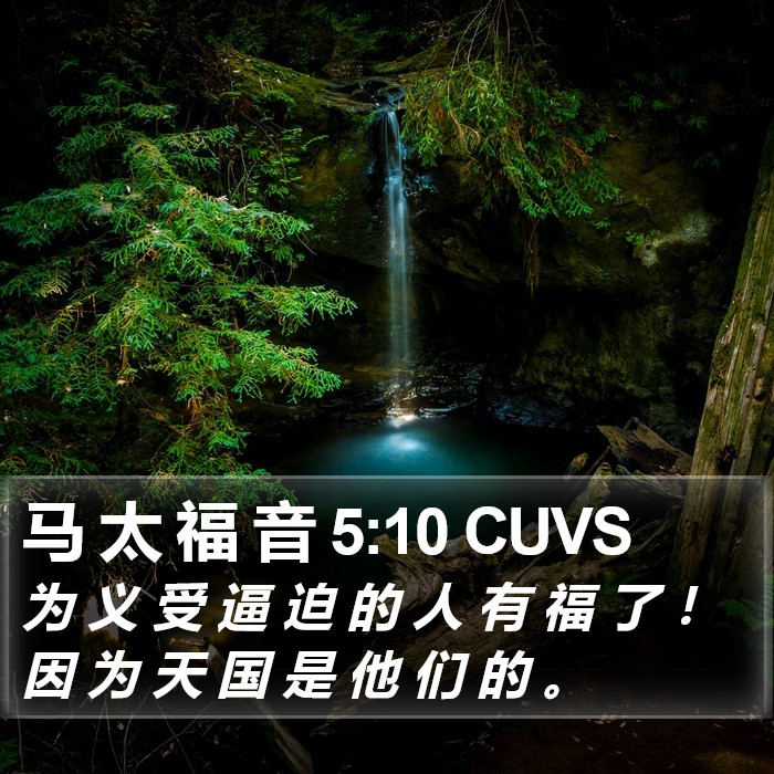 马 太 福 音 5:10 CUVS Bible Study
