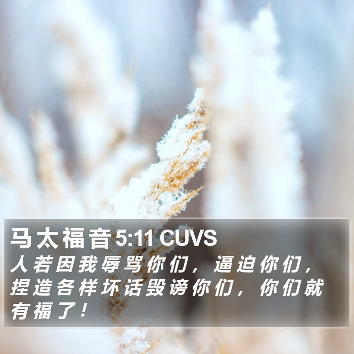 马 太 福 音 5:11 CUVS Bible Study