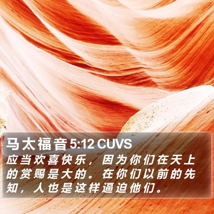 马 太 福 音 5:12 CUVS Bible Study