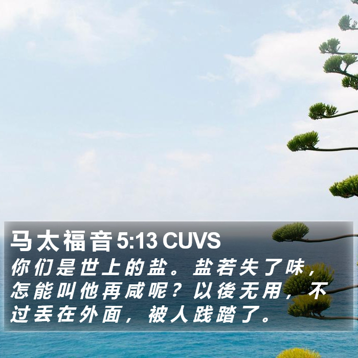 马 太 福 音 5:13 CUVS Bible Study