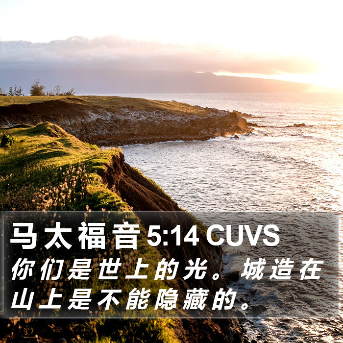 马 太 福 音 5:14 CUVS Bible Study
