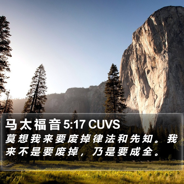 马 太 福 音 5:17 CUVS Bible Study