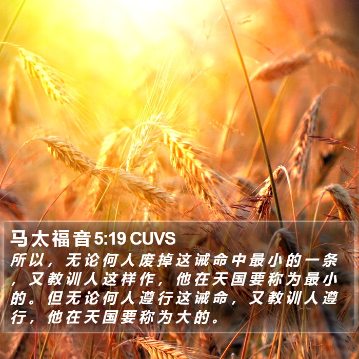 马 太 福 音 5:19 CUVS Bible Study