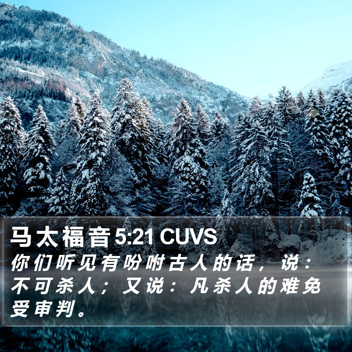 马 太 福 音 5:21 CUVS Bible Study