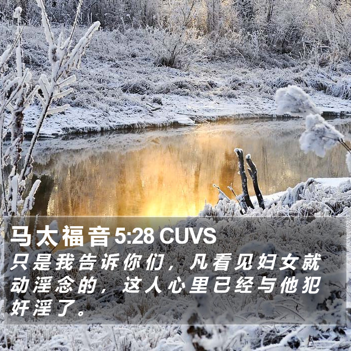 马 太 福 音 5:28 CUVS Bible Study