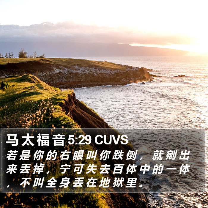 马 太 福 音 5:29 CUVS Bible Study