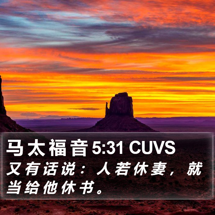 马 太 福 音 5:31 CUVS Bible Study