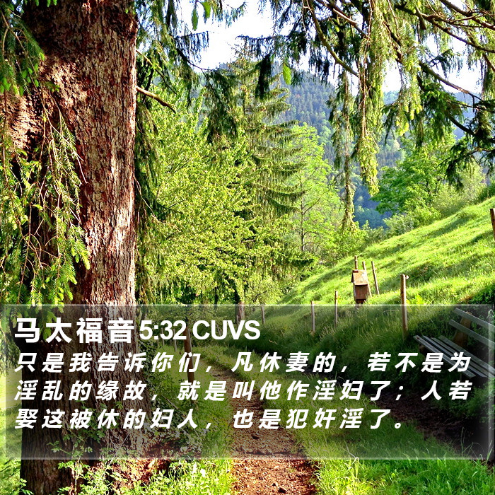 马 太 福 音 5:32 CUVS Bible Study