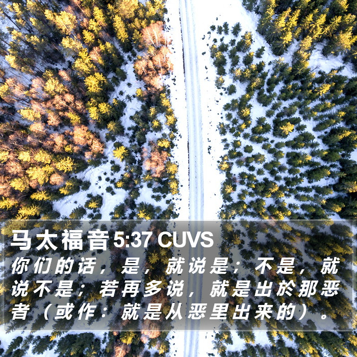 马 太 福 音 5:37 CUVS Bible Study