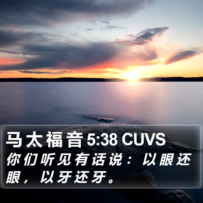 马 太 福 音 5:38 CUVS Bible Study