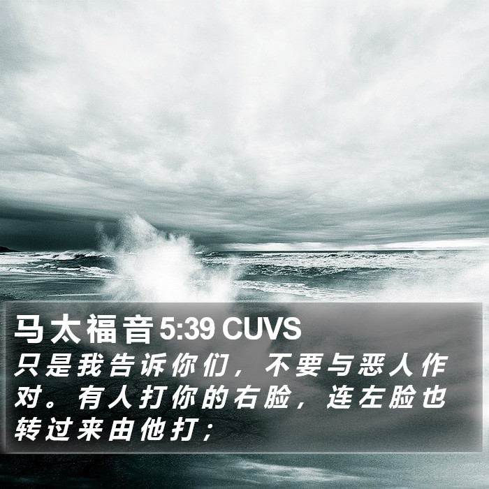 马 太 福 音 5:39 CUVS Bible Study