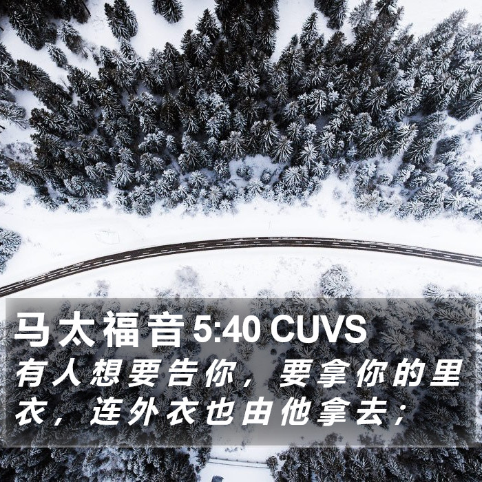 马 太 福 音 5:40 CUVS Bible Study