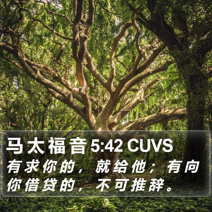 马 太 福 音 5:42 CUVS Bible Study