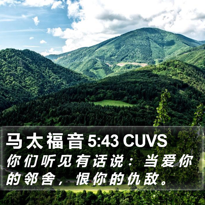 马 太 福 音 5:43 CUVS Bible Study