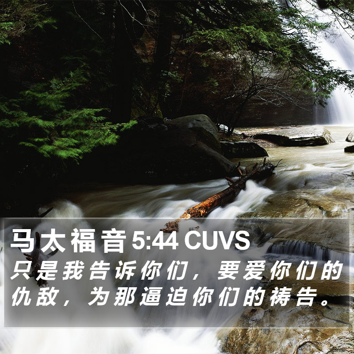 马 太 福 音 5:44 CUVS Bible Study