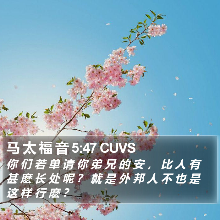 马 太 福 音 5:47 CUVS Bible Study