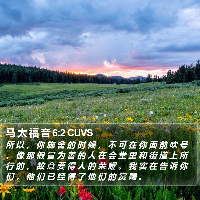 马 太 福 音 6:2 CUVS Bible Study