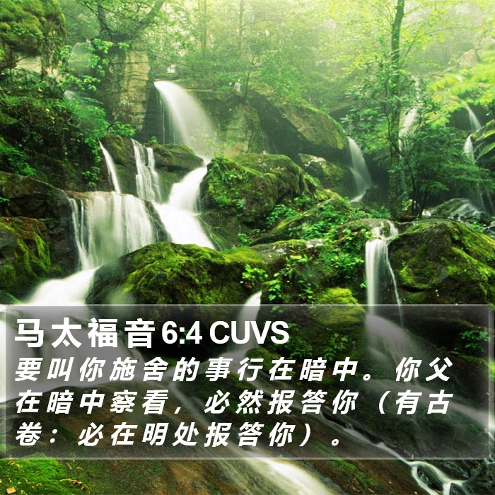 马 太 福 音 6:4 CUVS Bible Study