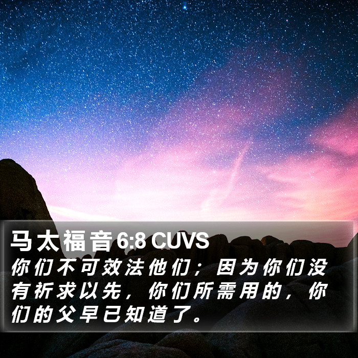 马 太 福 音 6:8 CUVS Bible Study