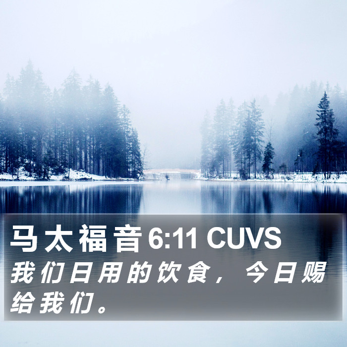 马 太 福 音 6:11 CUVS Bible Study