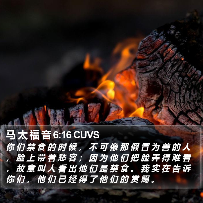 马 太 福 音 6:16 CUVS Bible Study