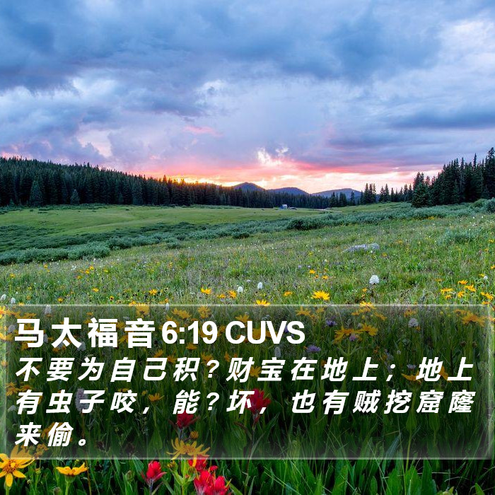 马 太 福 音 6:19 CUVS Bible Study