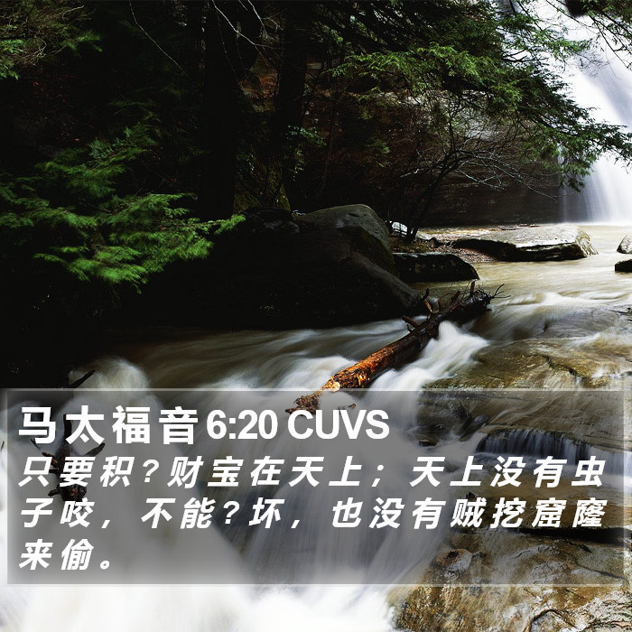 马 太 福 音 6:20 CUVS Bible Study