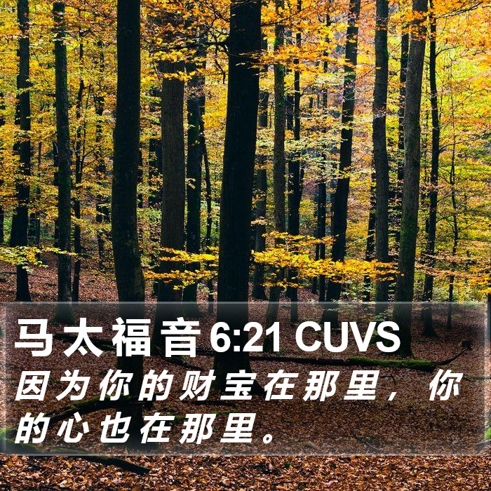 马 太 福 音 6:21 CUVS Bible Study