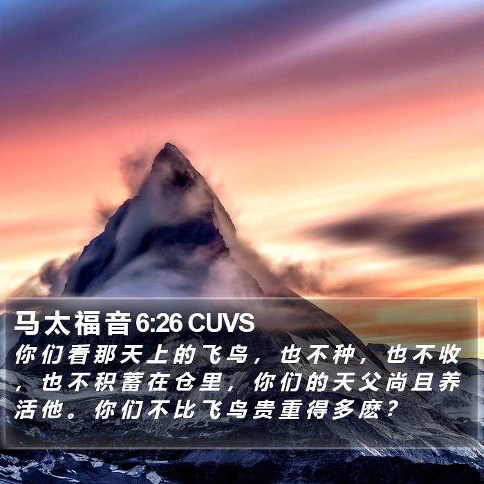 马 太 福 音 6:26 CUVS Bible Study