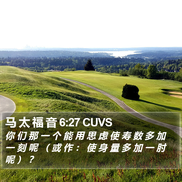 马 太 福 音 6:27 CUVS Bible Study