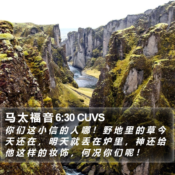 马 太 福 音 6:30 CUVS Bible Study