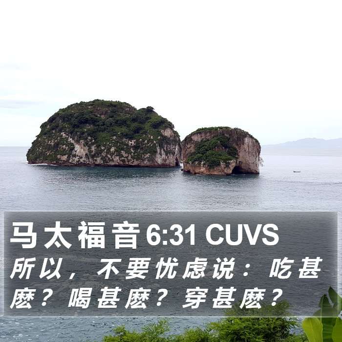 马 太 福 音 6:31 CUVS Bible Study