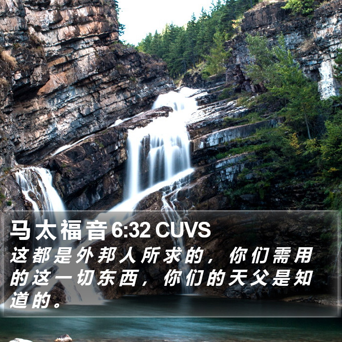 马 太 福 音 6:32 CUVS Bible Study