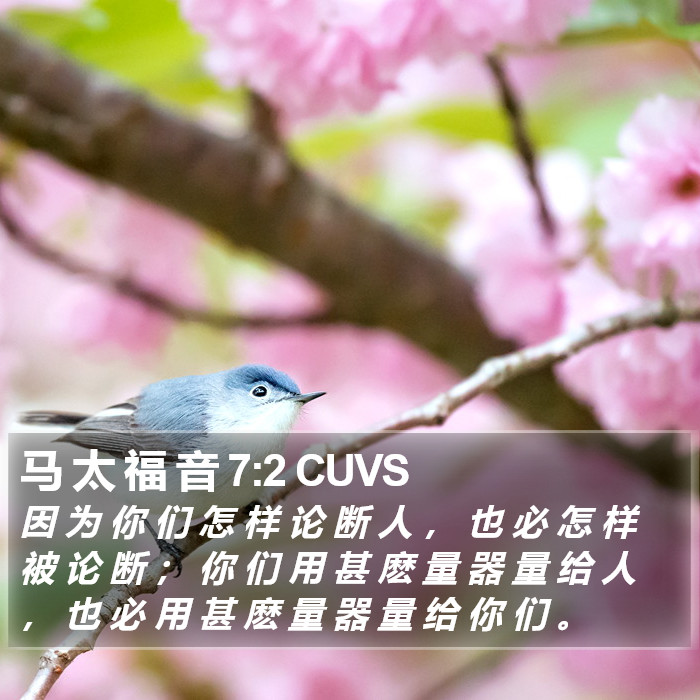马 太 福 音 7:2 CUVS Bible Study